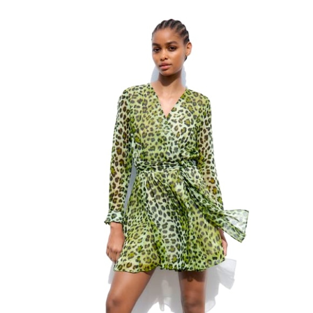Zara animal print dress